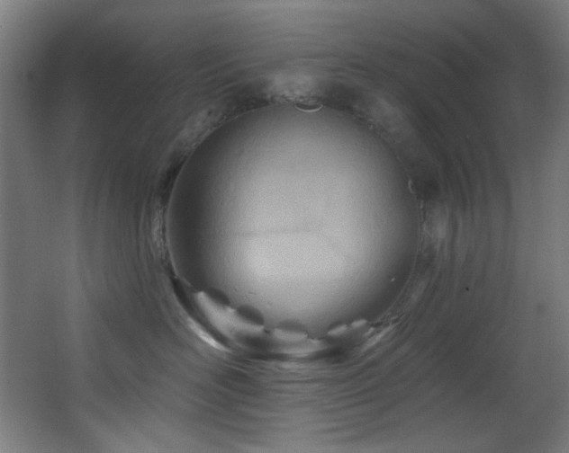 X0000068320526200604211208
