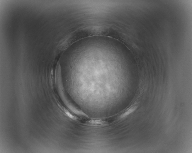 X0000068320528200604211208
