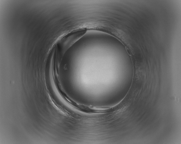 X0000068320530200604211208