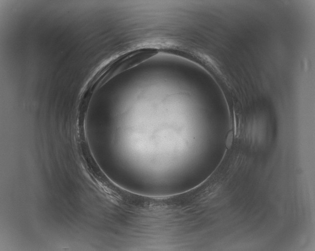 X0000068320531200604211208
