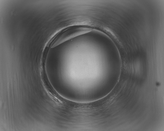 X0000068320532200604211208