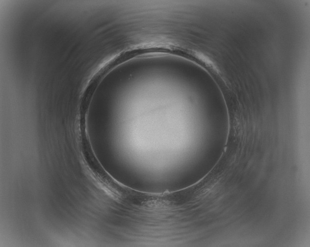 X0000068320535200604211208