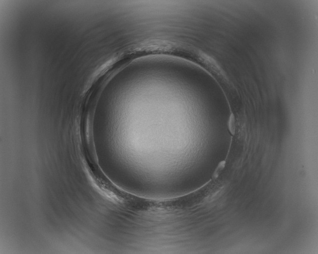 X0000068320538200604211208