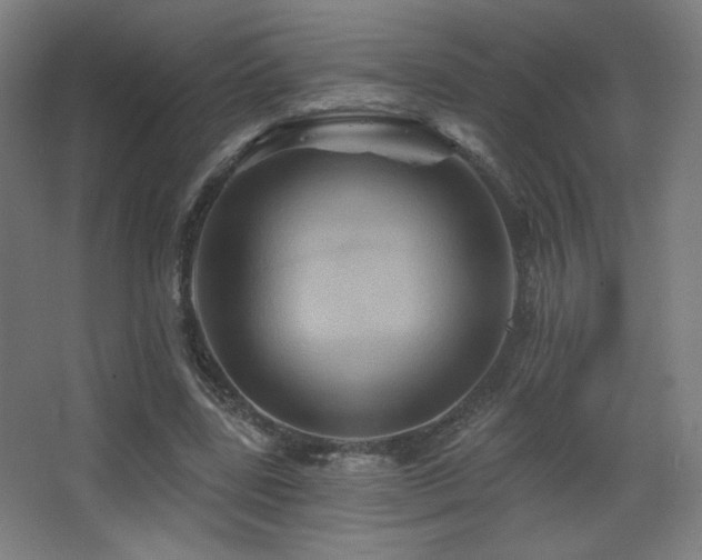 X0000068320539200604211208