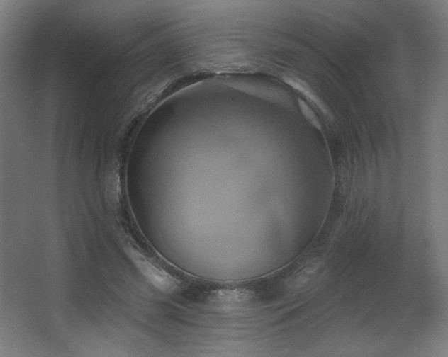 X0000068320541200604211208