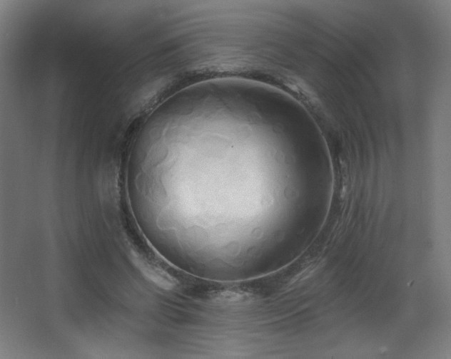 X0000068320542200604211208