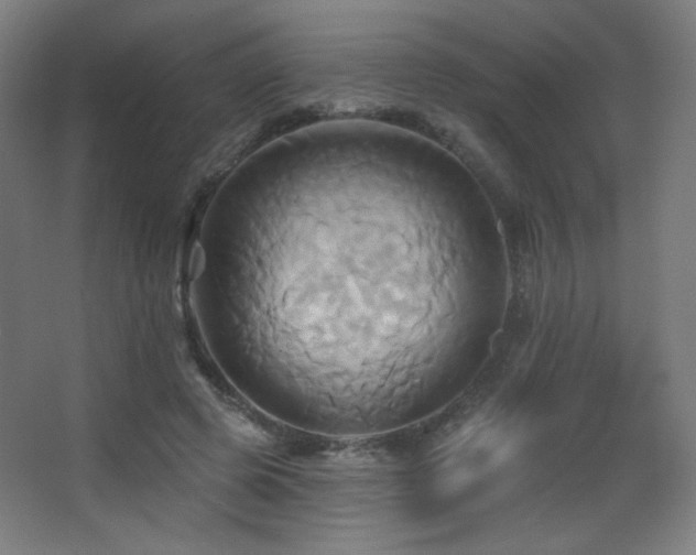 X0000068320545200604211208