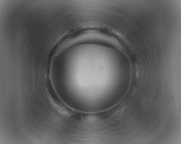 X0000068320546200604211208