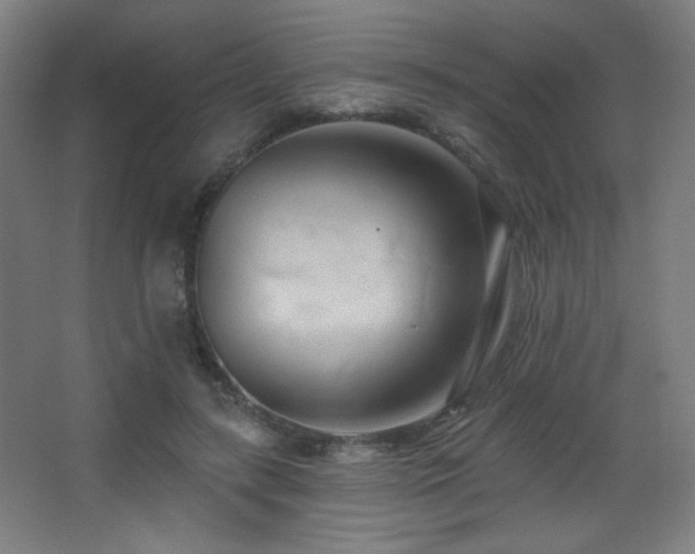 X0000068320547200604211208