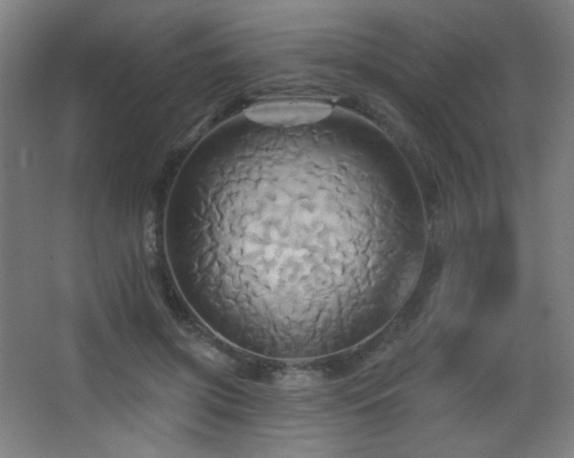 X0000068320549200604211208