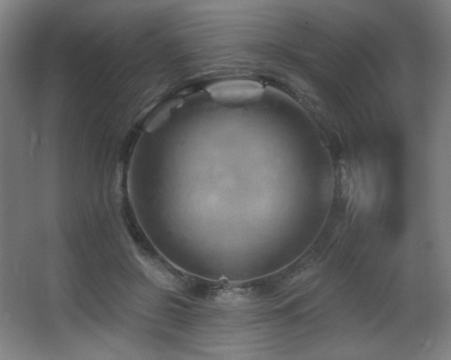 X0000068320550200604211208