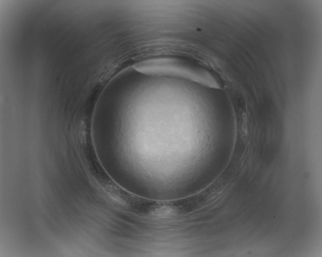 X0000068320551200604211208