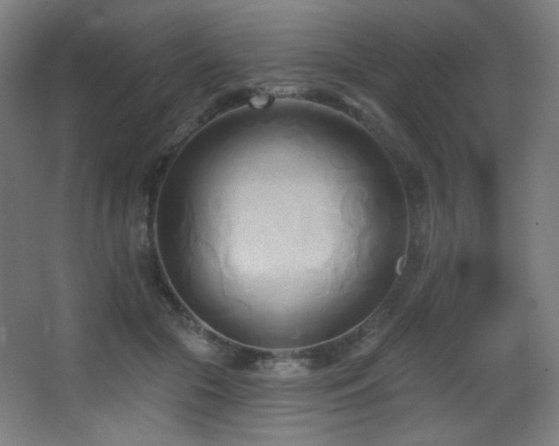 X0000068320553200604211208