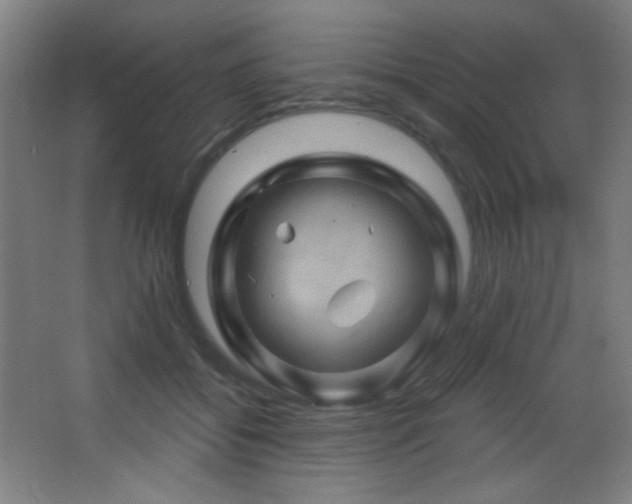 X0000068320556200604211208