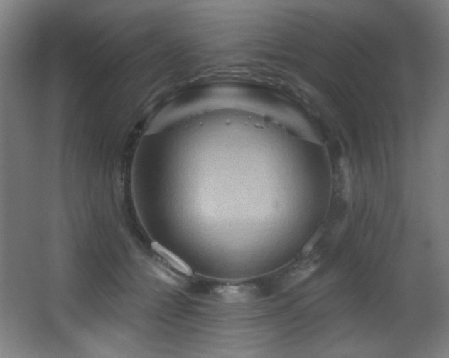 X0000068320558200604211208