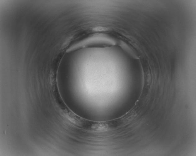 X0000068320559200604211208