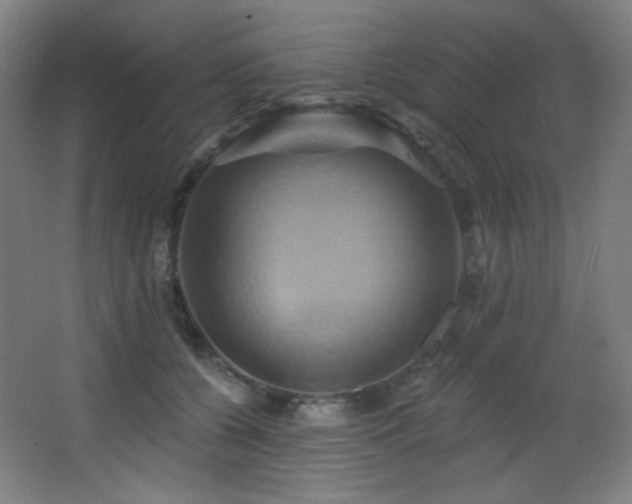 X0000068320560200604211208