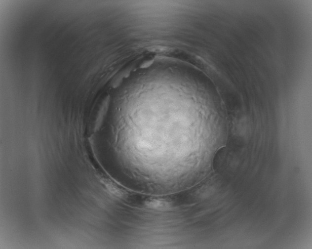 X0000068320561200604211208