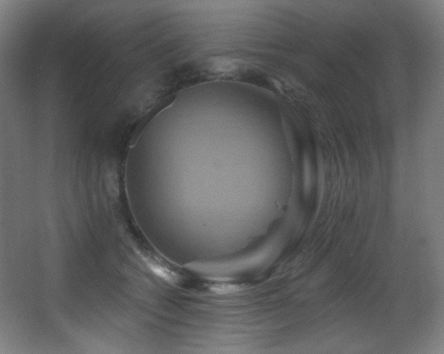 X0000068320562200604211208