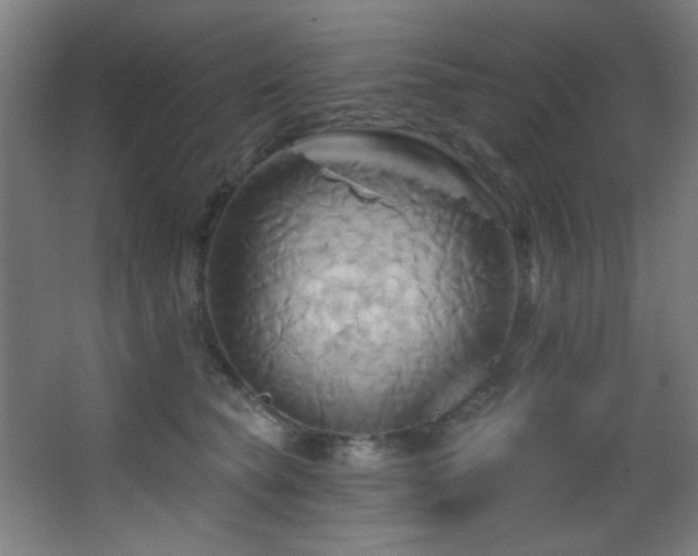 X0000068320565200604211208