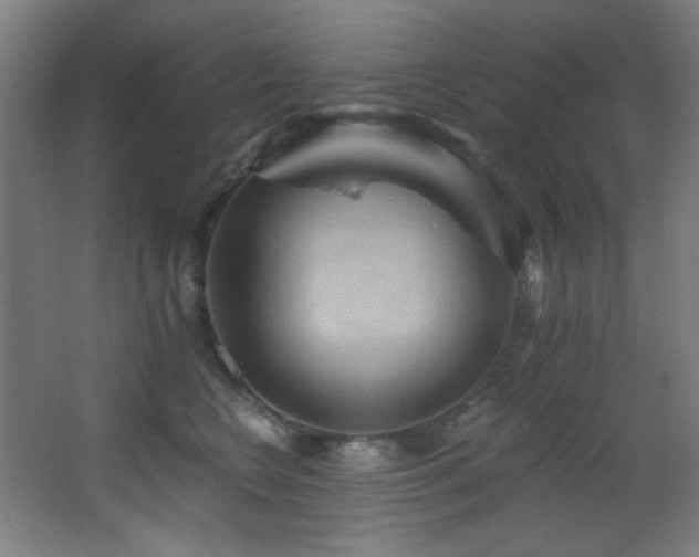 X0000068320566200604211208