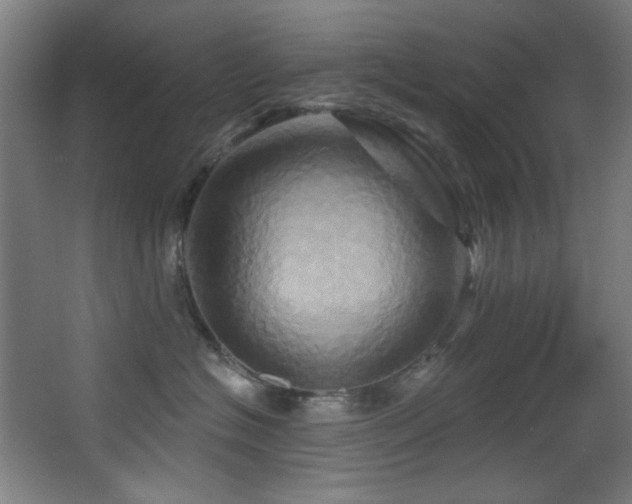 X0000068320574200604211208