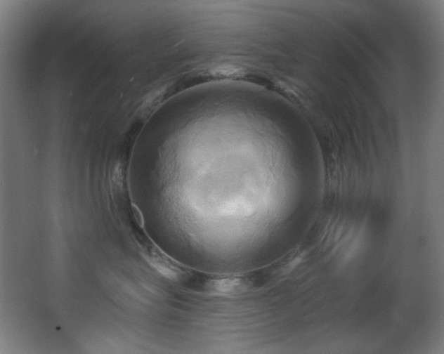 X0000068320575200604211208
