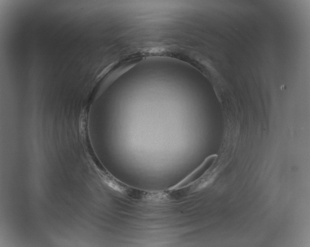 X0000068320576200604211208