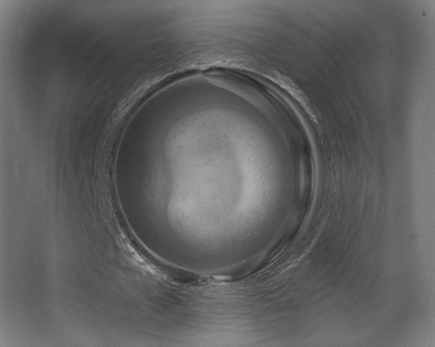 X0000068320577200604211207
