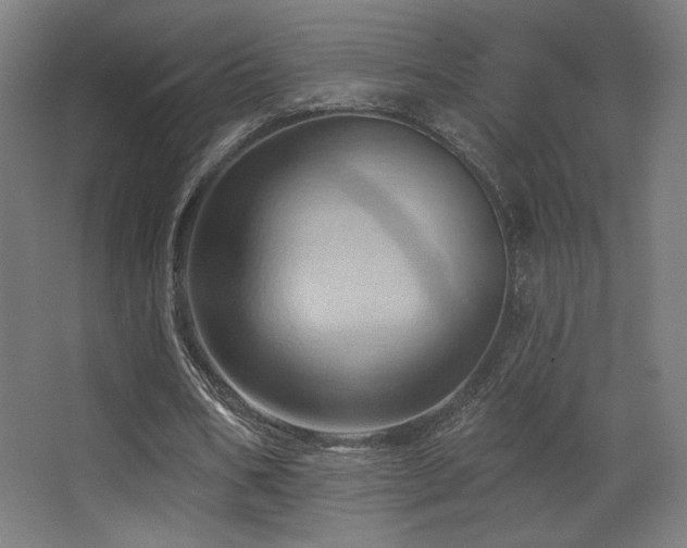 X0000068320578200604211207