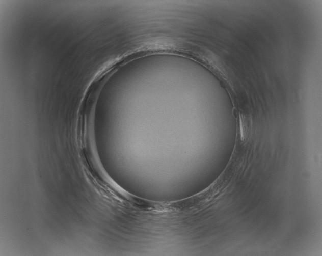 X0000068320579200604211207