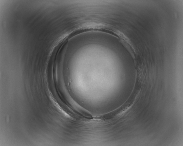 X0000068320581200604211207