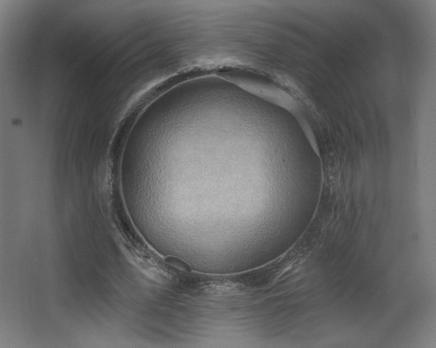 X0000068320583200604211207