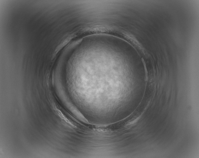 X0000068320585200604211207