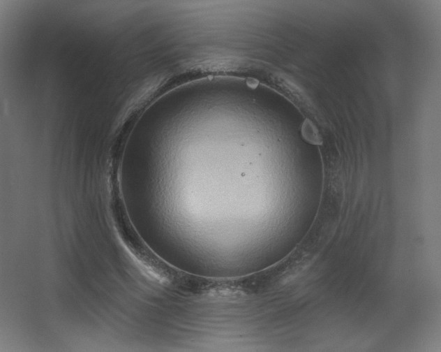 X0000068320586200604211207