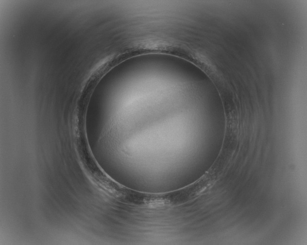 X0000068320587200604211207