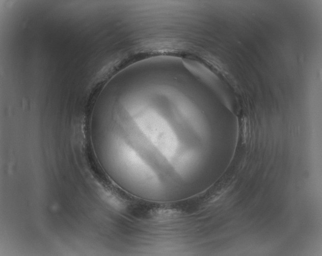 X0000068320590200604211207