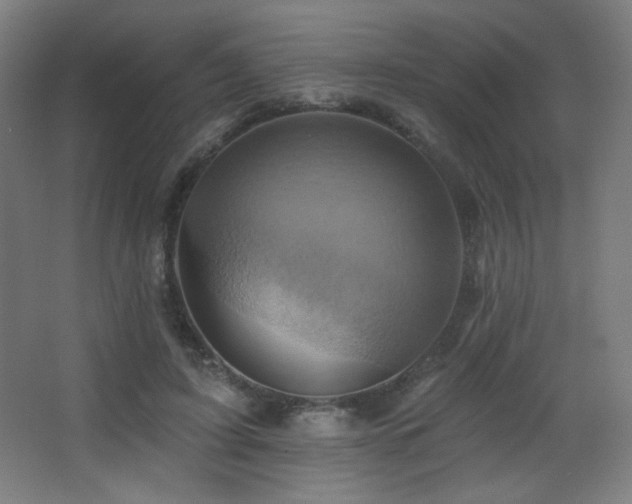 X0000068320595200604211207