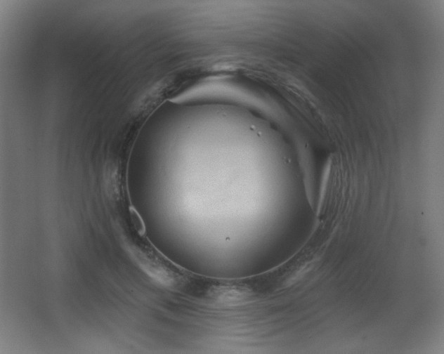 X0000068320597200604211207
