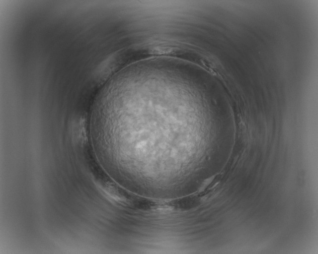 X0000068320598200604211207