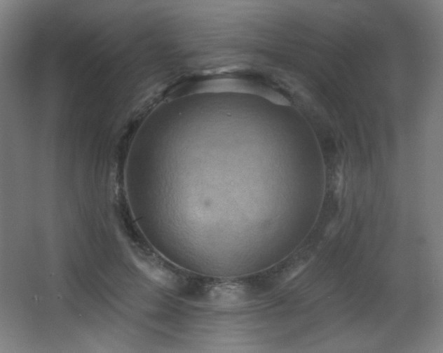 X0000068320599200604211207