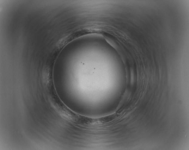 X0000068320600200604211207