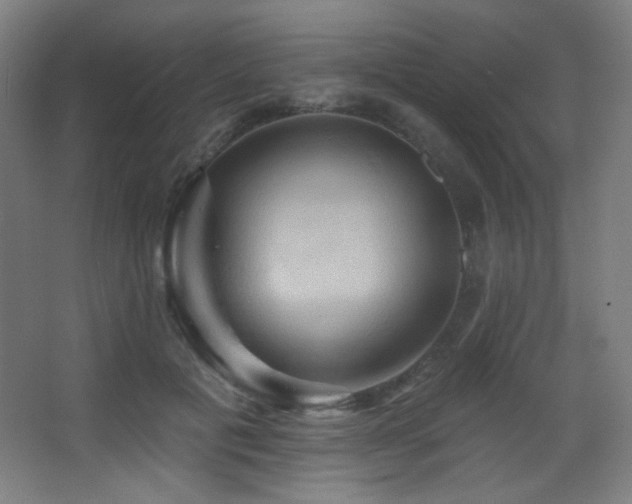 X0000068320601200604211207