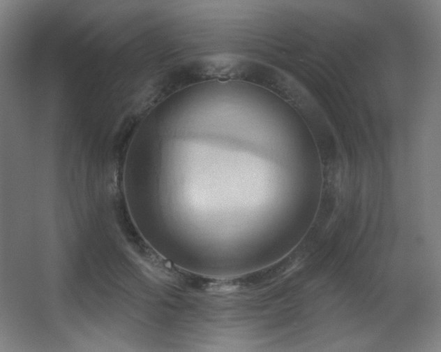 X0000068320602200604211207