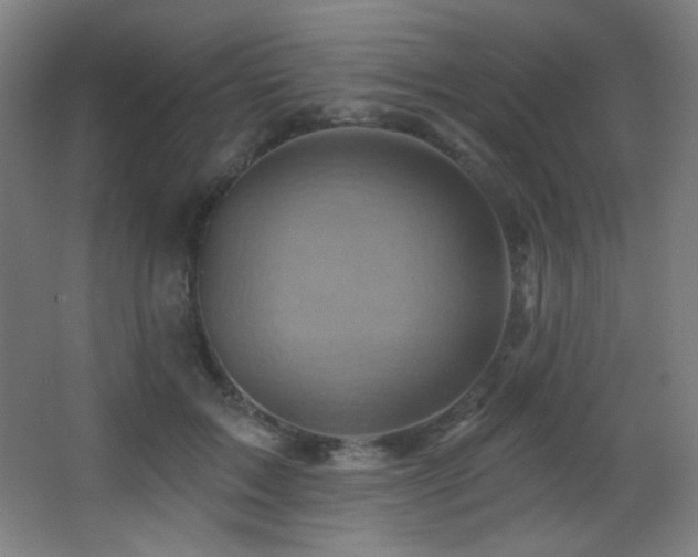X0000068320603200604211207