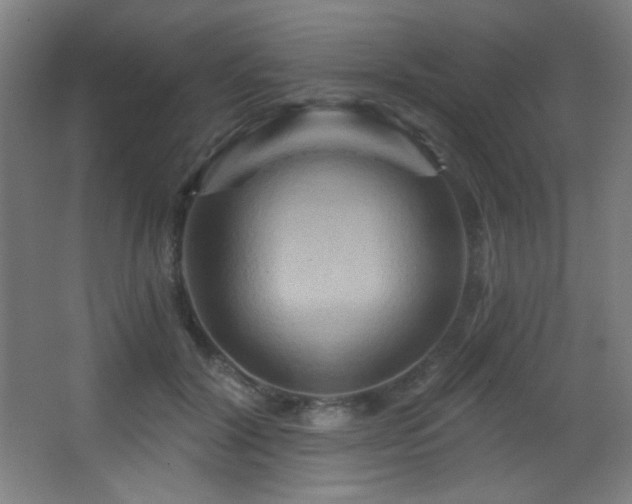 X0000068320604200604211207