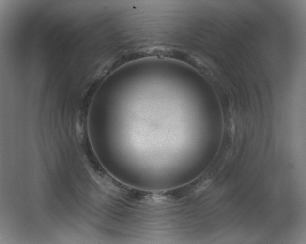 X0000068320607200604211207