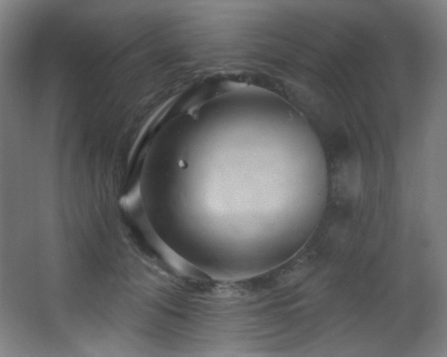 X0000068320608200604211207