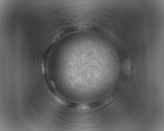 X0000068320610200604211207