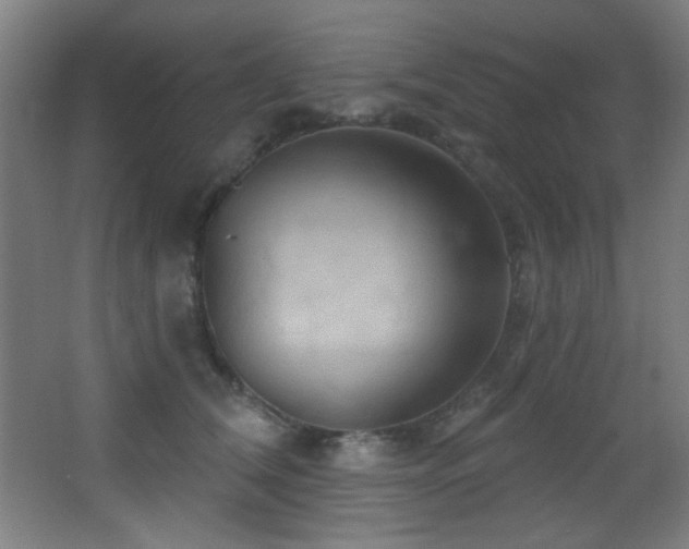 X0000068320612200604211207